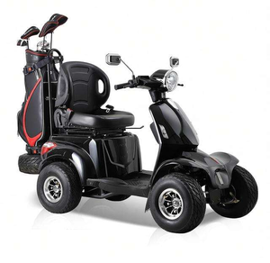 Il Produttore Cinese Vende Scooter Elettrici a 4 Ruote per Viaggi e Assistenza agli Anziani - Product Image 1