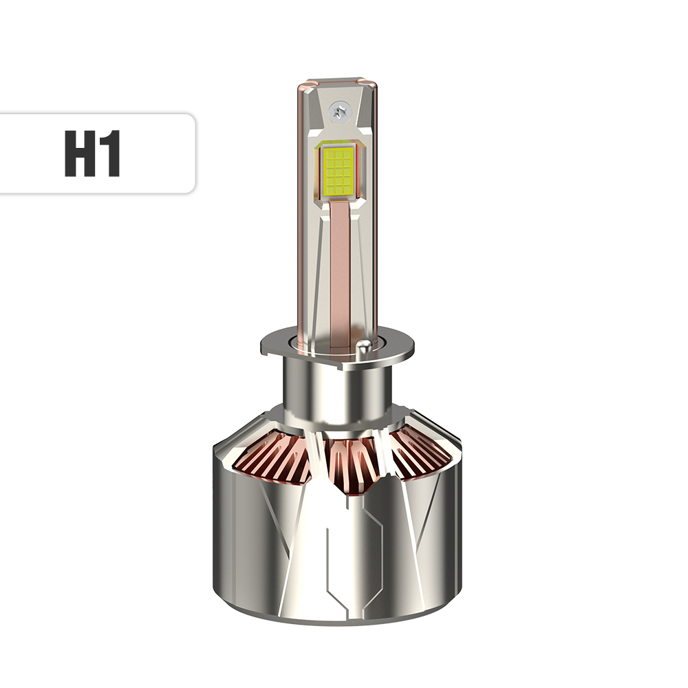 H1