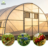 Grande serre en film à simple travée pour l'agriculture et les légumes de jardin, avec structure galvanisée à chaud et contrôle automatique