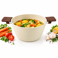 Casserole antiadhésive avec poignées style bois, grande marmite pour soupes, ragoûts, pâtes, légumes et repas en famille