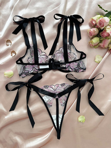 Sexy Butterfly Embroidery Lingerie Set Sheer Mesh Underwire <b>Bra</b> and Tie <b>Straps</b> Thong Set Women Lace Intimates 2 Piece Set - Product Image 4