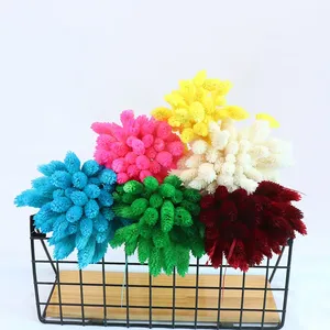 AYOYO - Flores Secas Decorativas al por Mayor para el Hogar, Bodas y Fiestas, 50 Piezas por Ramo, Hierba <span class=keywords><strong>de</strong></span> Joyas, Phalaris - Product Image 3