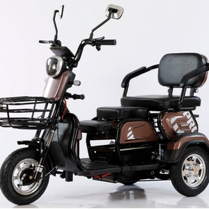 Triciclo Eléctrico de Tres Ruedas de 600W para Adultos, Dos Asientos, Carrocería Abierta, Uso de Pasajeros - Product Image 5