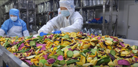 GT 150g Fruits Séchés Mélangés Gourmands, Prêts à Déguster
