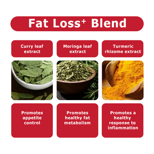Customized Multi Collagen Capsules with Fat Losst Blend Multi Collagen Complex to Promote a Healthy Response to Inflammation Cap - Product Image 5