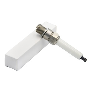 หัวเทียนชีวภาพสำหรับเปลี่ยนในเครื่องยนต์ WAUKESHA รุ่น 60999Z 69919D - Product Image 2