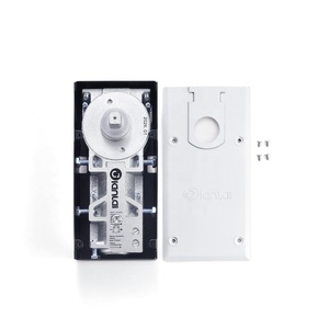 Cierrapuertas Hidráulico Oculto para Entrada Comercial, Resorte de Piso Ajustable de Alta Resistencia - Product Image 2