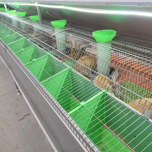 Fabricant professionnel de cages <span class=keywords><strong>à</strong></span> lapins de style européen pour usage commercial - Product Image 6