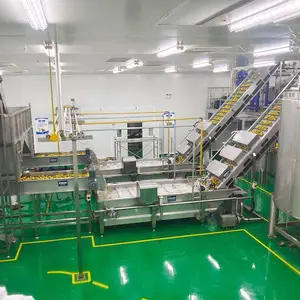 Fruit Processing Machine Mango Juice Pineapple Juice Processing Line/fruit Juice Production Machine