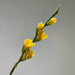 <span class=keywords><strong>Flores</strong></span> Artificiales de Gladiolo Blanco de Alta Calidad, <span class=keywords><strong>Flores</strong></span> de Gladiolo de Látex con Tacto Real para Decoración Floral de Mesa en Hogar, Fiestas y Bodas - Product Image 4