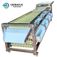 Populaire dadels sorteermachine, Medjool dadels maat kleine sorteermachine en sorteerapparatuur