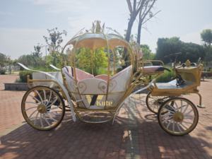 حفل زفاف اليقطين الوردي الكهربائي ، عربة حصان كهربائية/عربة يقطين وردي صغيرة - Product Image 4