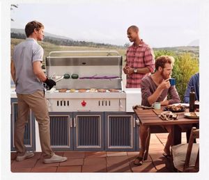 304 נירוסטה מבער גריל רב תכליתיים גדול בנוי בפחם לשימוש כפול בפחם גריל bbq עם rotiserie - Product Image 6