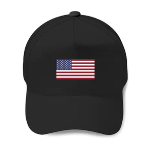 Alta calidad Unisex 6 paneles deportivo escuela camionero sombrero ala plana gorras de béisbol bordado clásico EE. UU. Bandera Logo personalizado Color gorra - Product Image 1