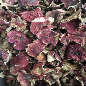 Approvisionnement en vrac de champignons Russula Sanguinaria entiers séchés sauvages de Chine - Product Image 2