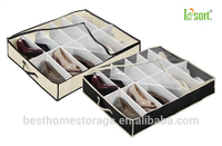 Boîte de rangement pliable transparente pour 12 paires de chaussures sous le lit en non-tissé avec fermeture éclair – Organisateur domestique très vendu