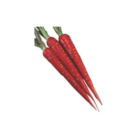 Zanahoria Estándar de Exportación, 99% de Pureza, 85% de Germinación, con Forma Uniforme, Color Brillante, Crecimiento Fuerte, Excelente Cosecha