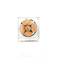 Venta directa de fábrica YJV Cable de alimentación de bajo voltaje 3/4/5 Core XLPE Material de aislamiento Cable de alimentación de núcleo de cobre
