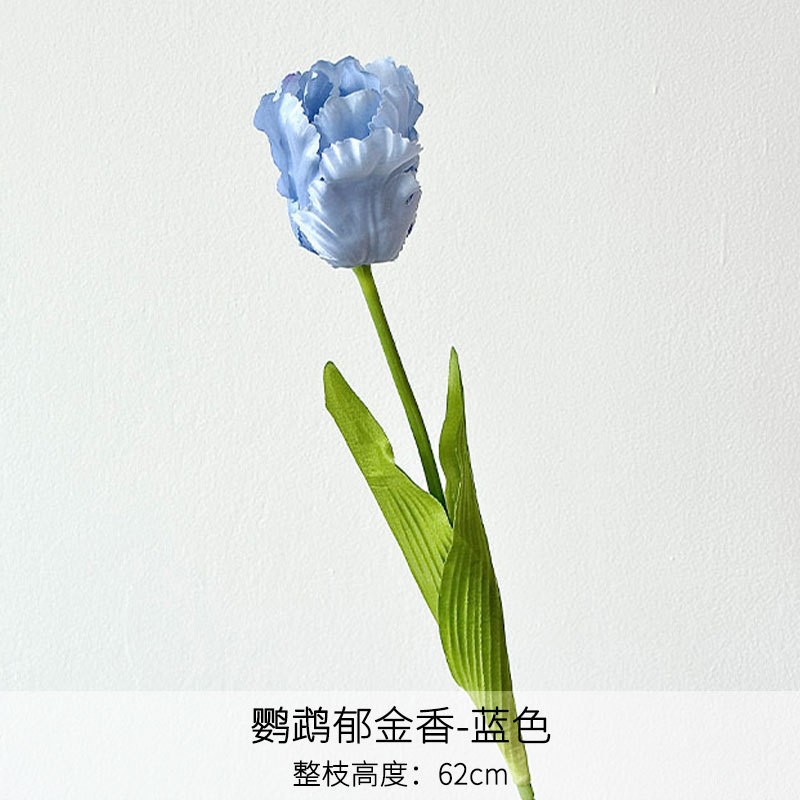 Tulipe perroquet bleue