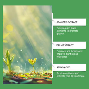 MO-F01-0046-01 โม-สปรี - Product Image 2