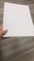 Plaque de diffusion de film en Polycarbonate blanc laiteux, 0.25mm, 1 pièce, pour cartes d'identité cad