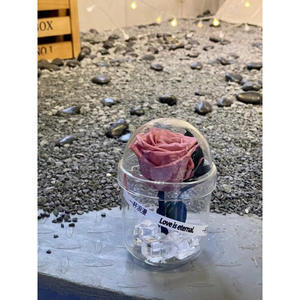 Eternal Rose 2025 Nuevos regalos de flores rosas de San Valentín Ins Estilo popular Ice & Rose en una taza Ramo de flores preservadas <span class=keywords><strong>eternas</strong></span> - Product Image 4