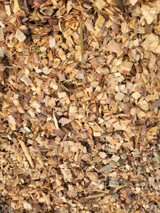 Copeaux de bois bruts 100 % purs et écologiques pour litière animale, la culture de champignons et le chauffage à la biomasse – Rendement élevé, livraison rapide - Product Image 6