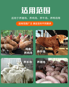 Silo d'alimentation <span class=keywords><strong>pour</strong></span> animaux de ferme de poulet Silo de stockage de céréales de réservoir-Achetez des mangeoires efficaces <span class=keywords><strong>pour</strong></span> <span class=keywords><strong>les</strong></span> animaux de la ferme - Product Image 5