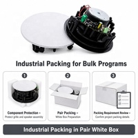 Haut-parleur de plafond 5,25 pouces avec amplificateur intégré, grille magnétique blanche, pour approvisionnement OEM en gros