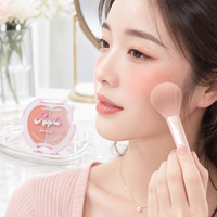 ODM Private Label Apple Blush Compact Poudre Lisse et Estompable Éclat Radieux Application Facile Maquillage pour Filles E-commerce