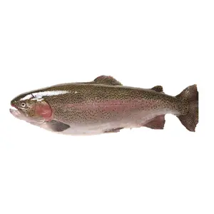 salmon fish price, salmon fish price Suppliers and Manufacturers at