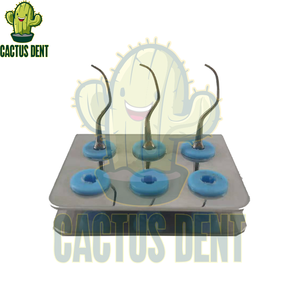 Fabriek Levering Tandheelkundige <span class=keywords><strong>Scaler</strong></span> <span class=keywords><strong>Tips</strong></span> H3 Fit Satelec <span class=keywords><strong>Dte</strong></span> - Product Image 6