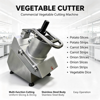 Machine industrielle électrique à trancher et à râper les légumes, coupe-patates pour frites, équipement de découpe de carottes et d'oignons avec 5 fonctions standard