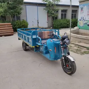 2024 Nieuw Product Elektrische Landbouw Lading Driewieler Scooter Trike Riksja