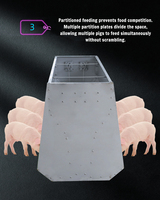 Mangeoires à double face en acier inoxydable de haute qualité pour porcs et moutons. Élevage de porcs et de moutons pour l'élevage du bétail.