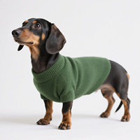 Chandail pour Chien Teckel sur Mesure Joymay, de Luxe, de Haute Qualité, en Polyester Couleur Unie, pour l'Extérieur, Chaud, Vêtements de Créateur pour Animaux de Compagnie