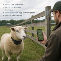 Traceur GPS pour animaux de compagnie G21, suivi de localisation en temps réel, surveillance d'activité à distance, journal d'activité de 90 jours, géolocalisation