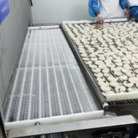 Machine de surgélation rapide à tunnel pour produits de la mer, volailles et pâtisseries, avec bande transporteuse personnalisée en usine