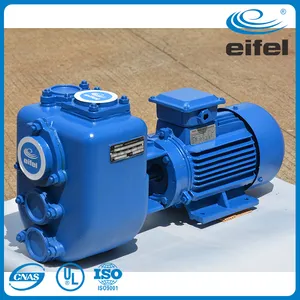 Self Priming Sewage Water Electric Pump For Irrigation And Agriculture