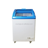 Mini congelador de helado de 220-240V/12-24V DC/AC 220-12V, V