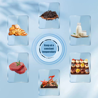 Congélateur de supermarché 200L, porte à ouverture supérieure, refroidissement direct, congélateur à ouverture latérale, commande numérique, dégivrage semi-automatique pour restaurant