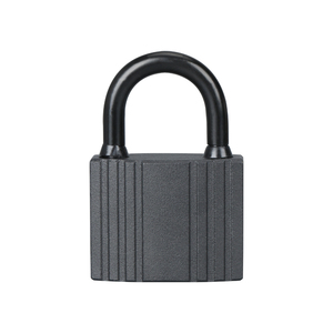 Pestillo de puerta de seguridad engrosado de hierro Candado de comercio exterior alargado para puertas Ventanas Heaven <span class=keywords><strong>Earth</strong></span> Pestillo con seguridad engrosada - Product Image 4