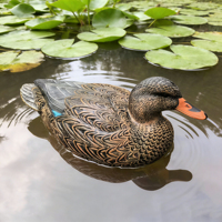 Leurre de canard mallard réaliste 3D en relief, flottant, en EVA épais, étanche, pour la pêche en lac et la chasse aux oiseaux sauvages en extérieur