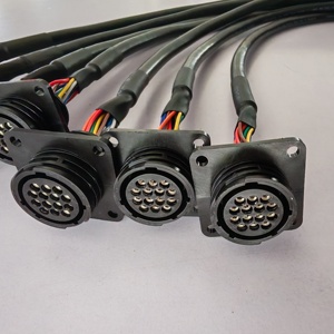Op maat gemaakte auto-bedrading, computer, motorfiets xenon koplamp groepcontroller, PVC/Nylon PTFE IP66 geclassificeerd elektrisch - Product Image 5