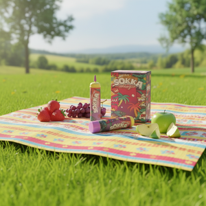 Suministro Mundial <span class=keywords><strong>Sokka</strong></span> para Cilindro de Acero al Carbono Ecológico de 640g, Directo de Fábrica para Crema Batida - Product Image 1