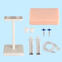 Conjunto de Modelo de Entrenamiento para Punción Vascular Guiada por Ultrasonido - Almohadilla de Práctica para Inyecciones IV para Entrenamiento de Habilidades Clínicas
