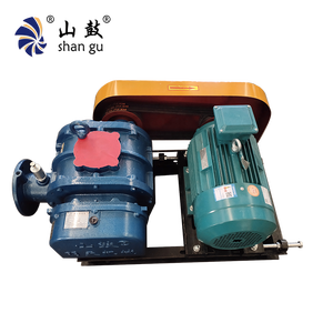 Têtes de souffleurs à lobes électriques haute pression à moteur AC pour les stations <span class=keywords><strong>d</strong></span>'épuration côtières australiennes, résistantes à la corrosion et conçues pour l'humidité salée - Product Image 1