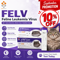 Kit de test d'anticorps Ehrlichia pour chiens, méthode à l'or colloïdal, échantillon de sérum sanguin canin, dispositif de diagnostic vétérinaire