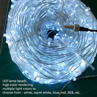 Lumières à clip étanches IP65 pour extérieur, 12V, rouleau de 100m, 666 LED, fil de cuivre PVC, décoration de Noël permanente pour paysage