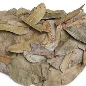 Hojas de Guanábana Orgánicas al por Mayor |   Secado y Limpiado |   Vietnam |   Marca Viet Delta |   Duración de vida útil de 12 meses |   Preparar Té |   Hazel |   Modelo - Product Image 1